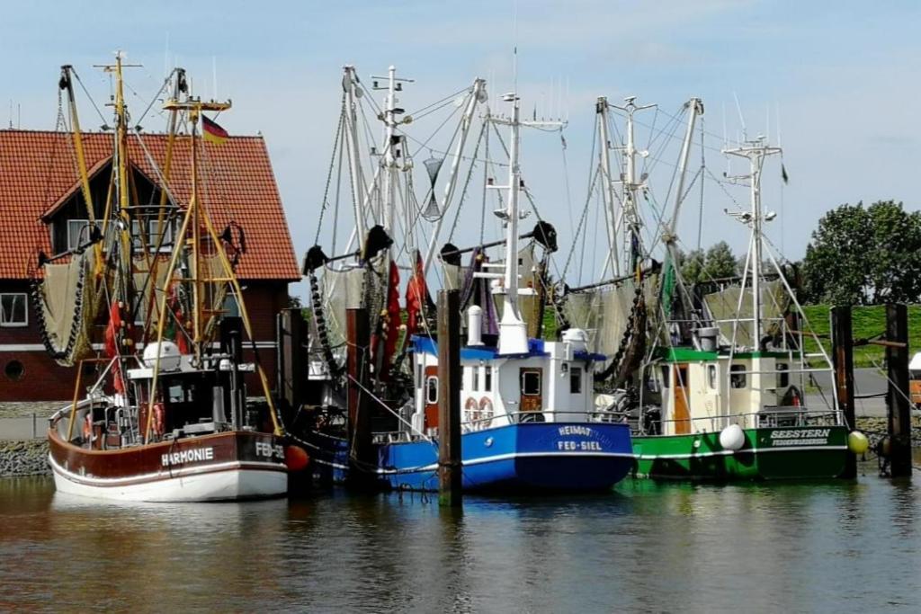 Am Kutterhafen 3 - Pier 3 Villa Fedderwardersiel Luaran gambar